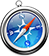Safari Icon